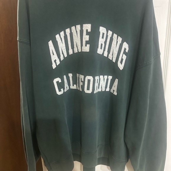 Anine Bing “Miles” Green Crewneck oversized distressed - Picture 13 of 15